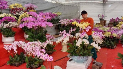 Spring trade fair opens in Hanoi