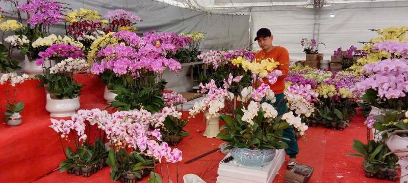 Spring trade fair opens in Hanoi