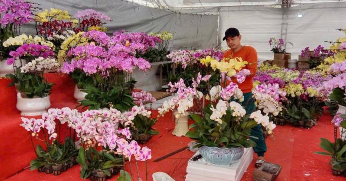 Spring Trade Spring trade fair opens in Hanoi - VnEconomy