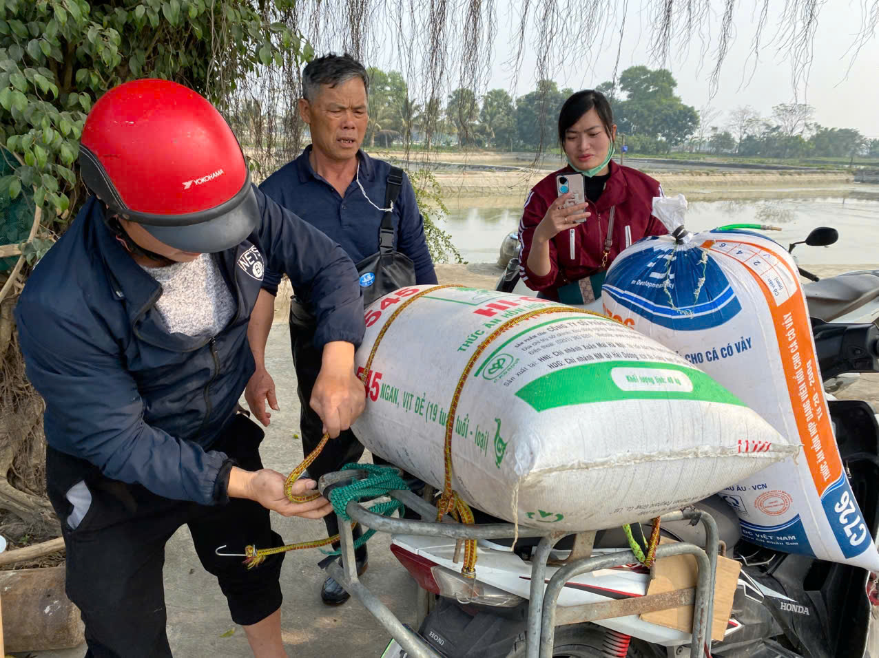 Thời điểm này các thương lái tấp nập đến thu mua cá