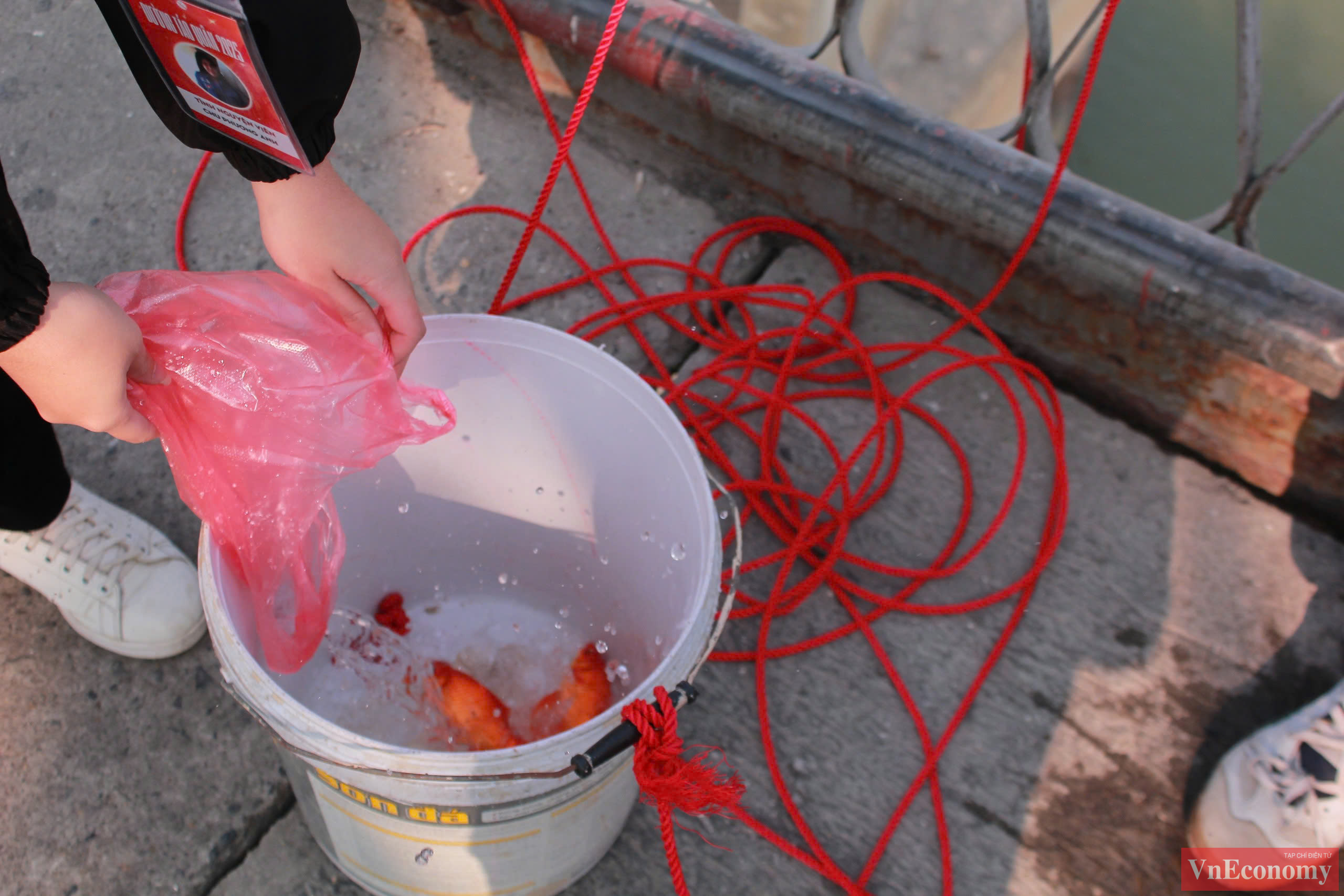 Đối với người d&acirc;n Việt Nam việc thả c&aacute; c&uacute;ng &ocirc;ng T&aacute;o v&agrave;o ng&agrave;y &ocirc;ng C&ocirc;ng &ocirc;ng T&aacute;o về trời l&agrave; phong tục kh&ocirc;ng thể bỏ qua.