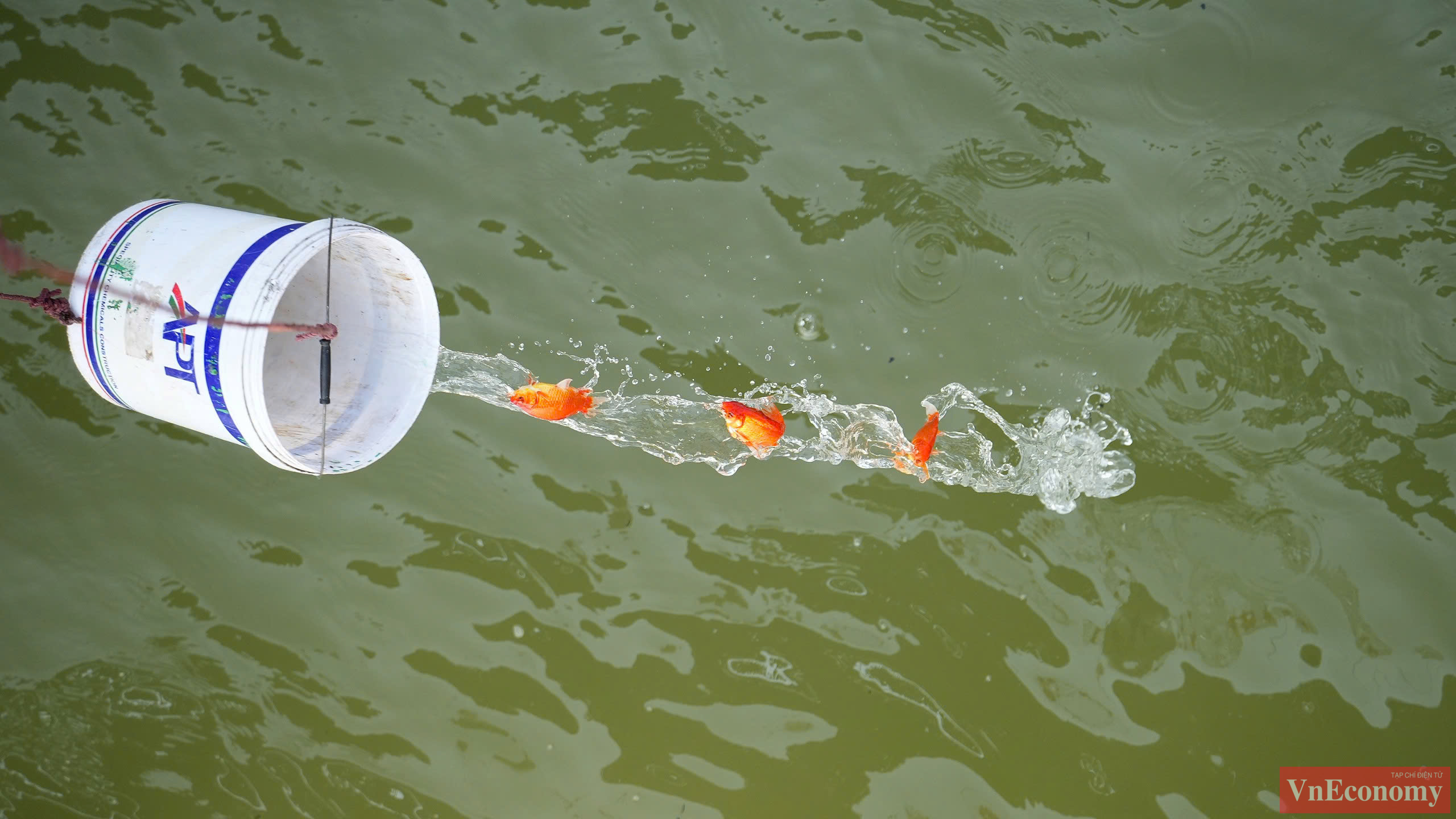 Ngo&agrave;i ra, c&aacute;c đội t&igrave;nh nguyện vi&ecirc;n khi hỗ trợ thả c&aacute; cũng thu gom t&uacute;i nilon cất đi gọn g&agrave;ng, kh&ocirc;ng để người d&acirc;n xả cả t&uacute;i xuống d&ograve;ng s&ocirc;ng. Được biết, trong dịp Tết &ocirc;ng C&ocirc;ng &ocirc;ng T&aacute;o, gần 100 t&igrave;nh nguyện vi&ecirc;n trẻ tuổi đ&atilde; tham gia hỗ trợ tại c&aacute;c điểm thả c&aacute; ch&eacute;p tại H&agrave; Nội để hướng dẫn người d&acirc;n thả c&aacute; đ&uacute;ng nơi quy định, với khẩu hiệu: 