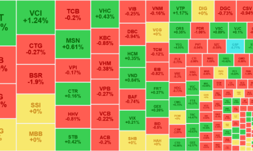 Giao dịch tiếp tục luẩn quẩn, BSR lao dốc liên tục kể từ khi lên sàn HoSE