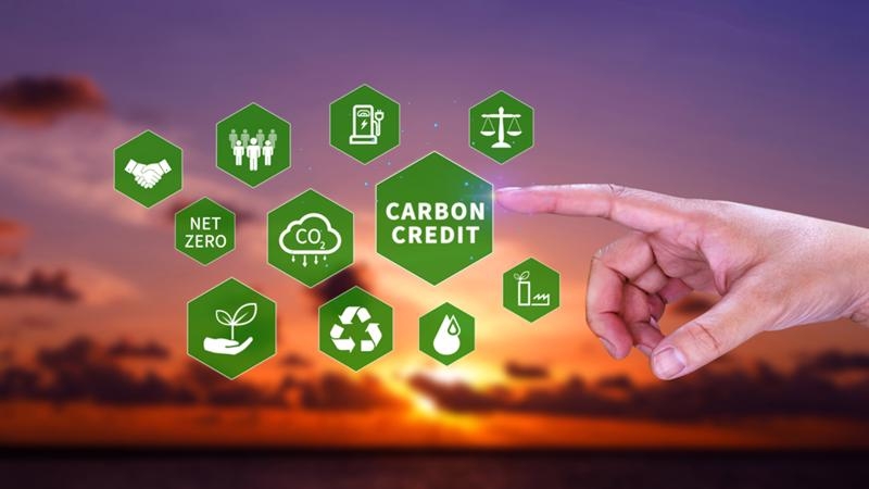 Suggested mechanisms for successful carbon market