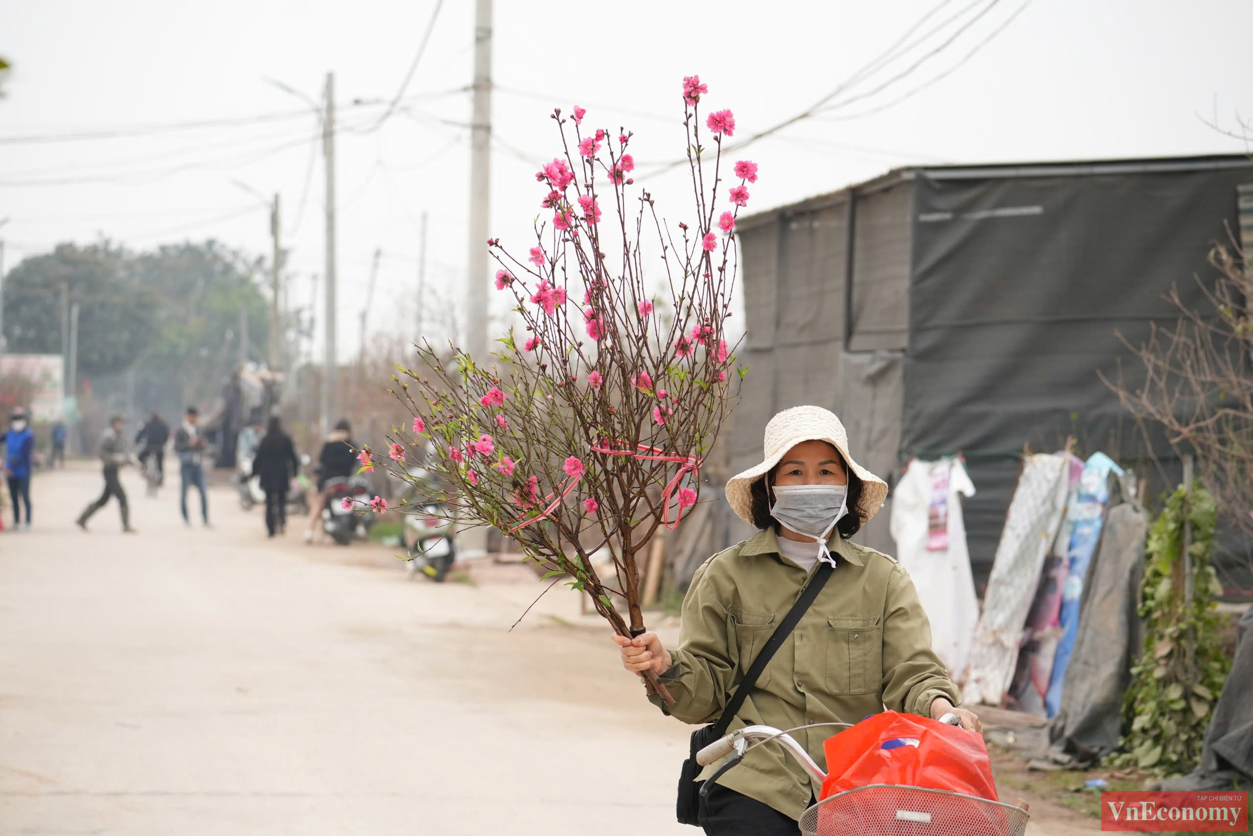 Trưa ngày 22/1 (tức ngày 23 tháng Chạp), khá đông người dân tìm đến làng đào Nhật Tân để chọn nhưng cây đào ưng ý về trưng bày dịp Tết Ấy Tỵ.