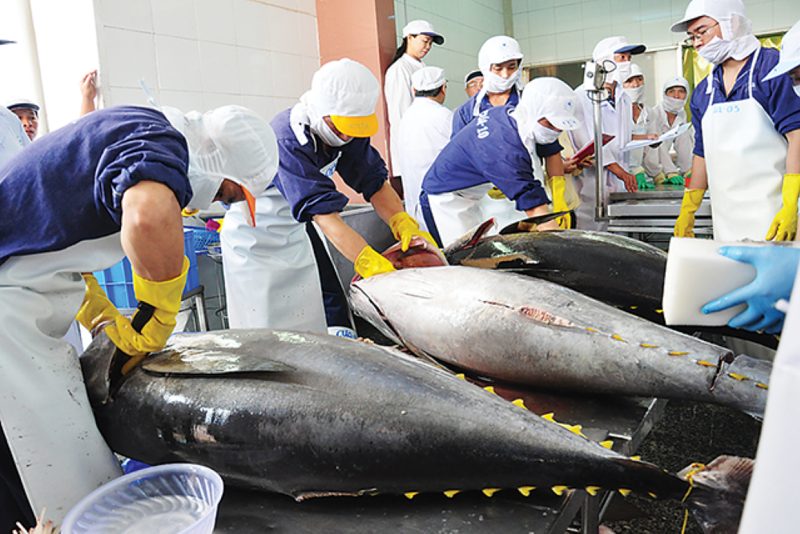 Vietnam's tuna exports top nearly $1 bln in 2024