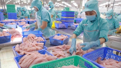 Vietnam surpasses Japan as 5th largest seafood exporter to Singapore