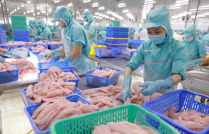 Vietnam surpasses Japan as 5th largest seafood exporter to Singapore