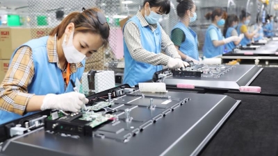 Pivotal role of support industry