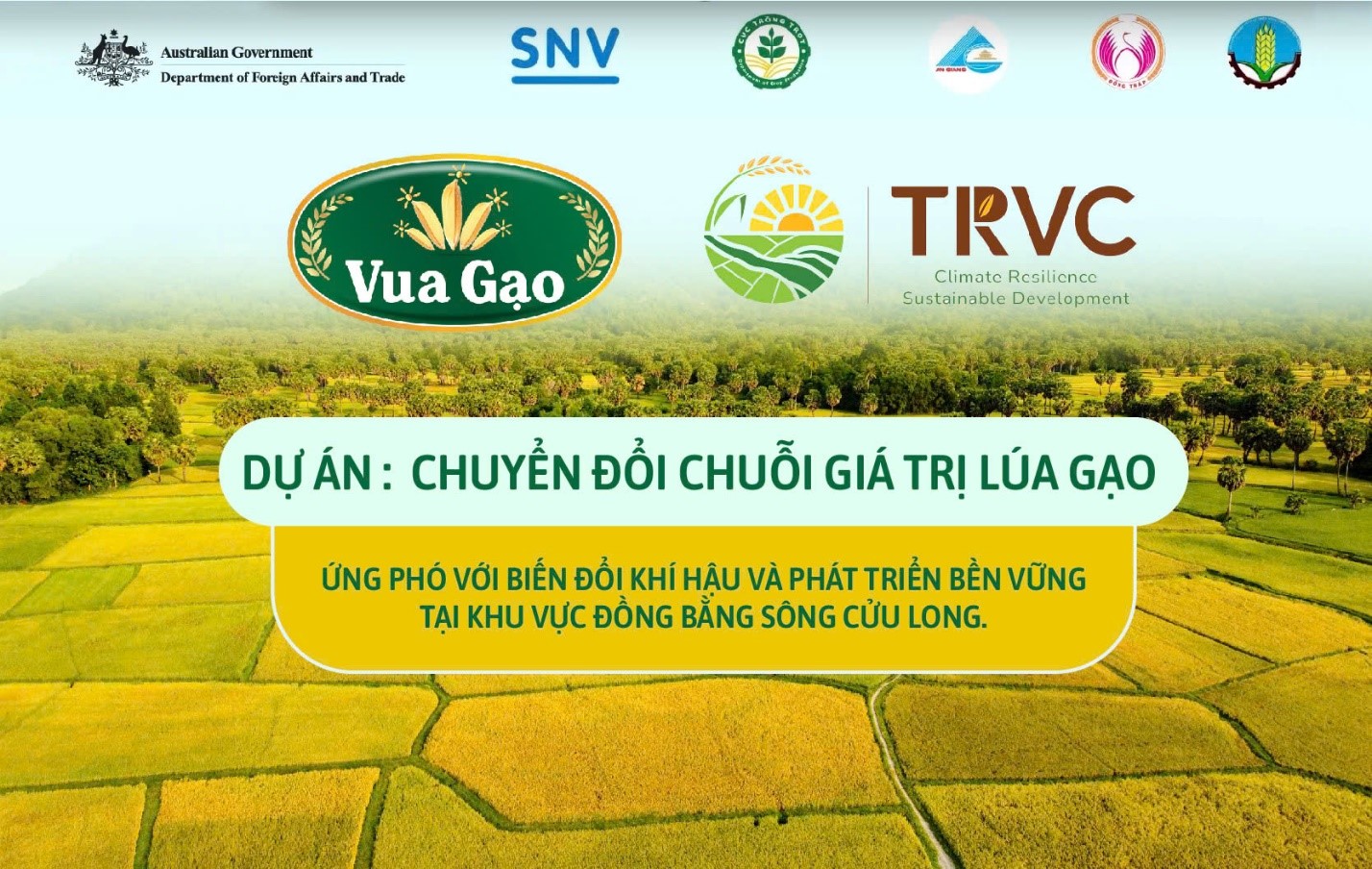 VnEconomy