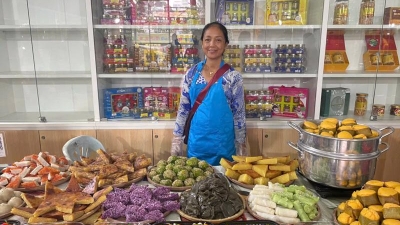 Trade fair introducing specialities for Tet opens in HCM City 