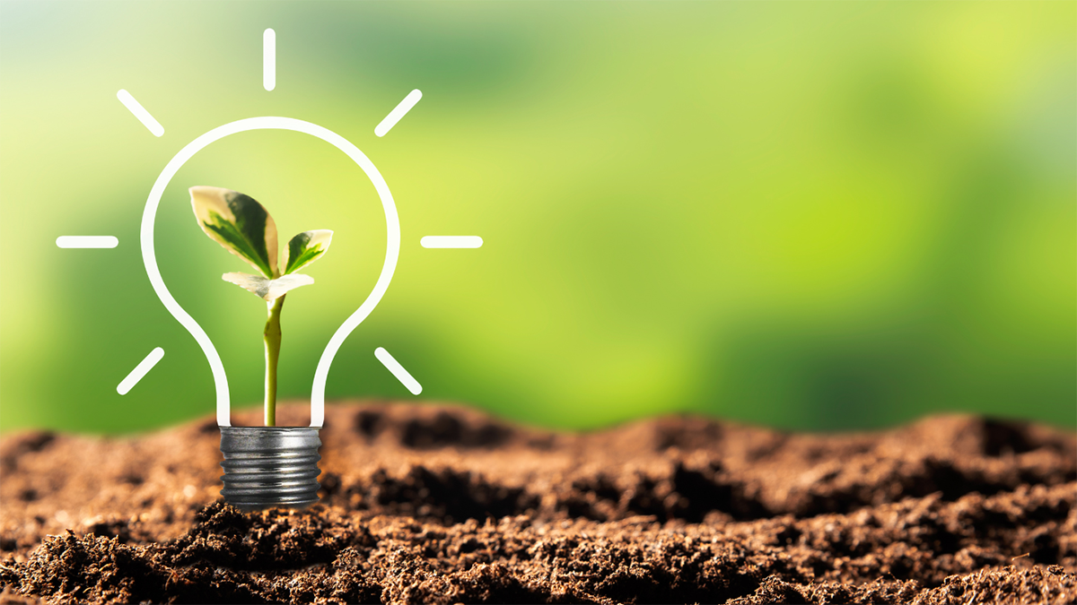 “Xanh hóa” từ chuỗi sản xuất đến nguồn cung ứng đang là xu thế chung toàn cầu, doanh nghiệp Việt Nam vì vậy không thể đứng ngoài cuộc chơi. Ảnh minh họa