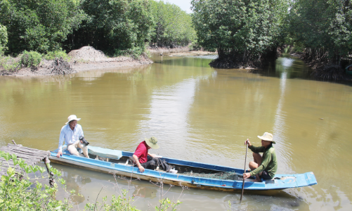 Bán tín chỉ carbon, nông dân giàu lên 