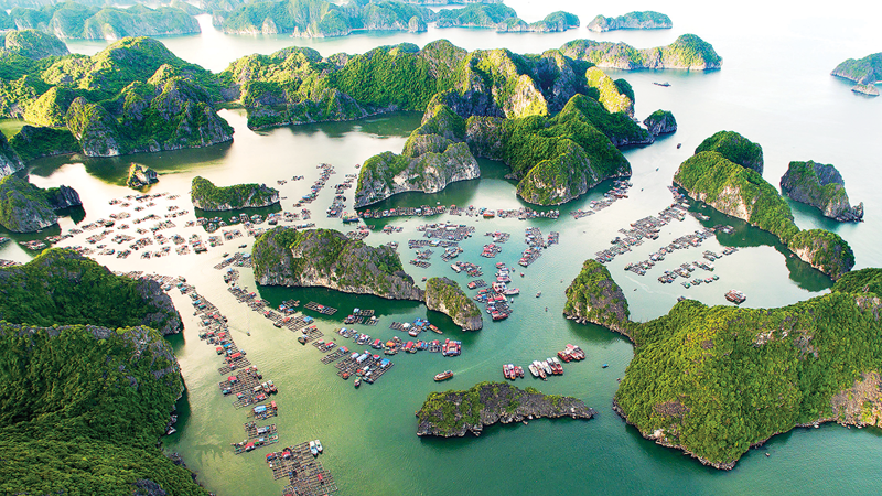  Promising future ahead of tourism