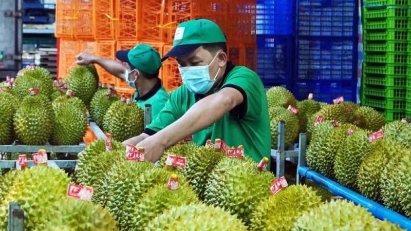 2024 durian export revenue hit $3.3 billion