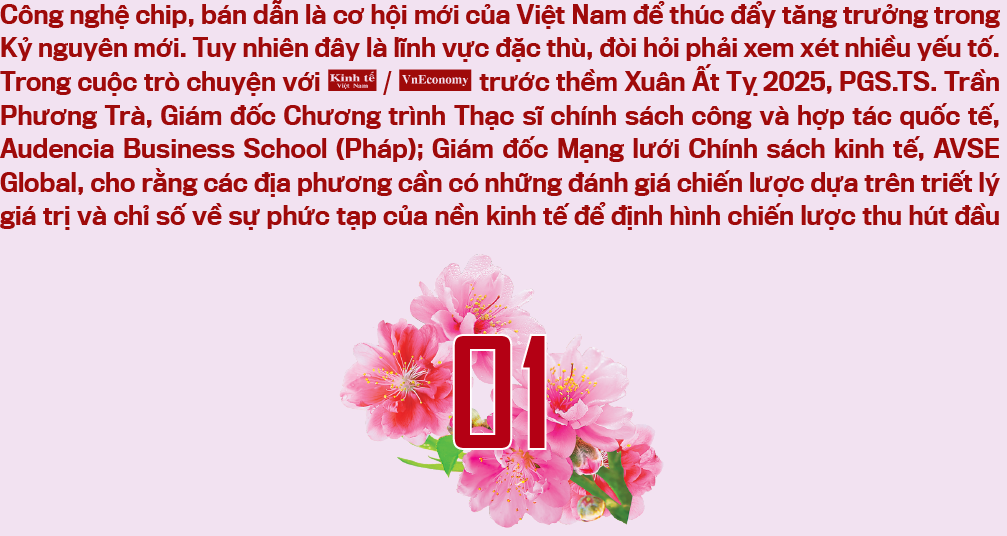 Năm mới trò chuyện về thu hút đầu tư vào bán dẫn - Ảnh 2