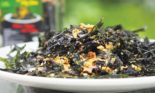 Mong chờ “Vua rong biển” Việt Nam