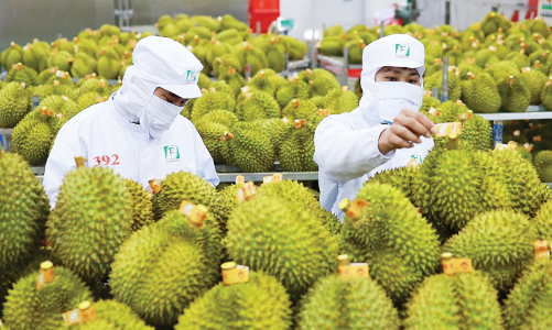 Hành trình dựng xây thương hiệu nông sản Việt thành danh trên đất Úc