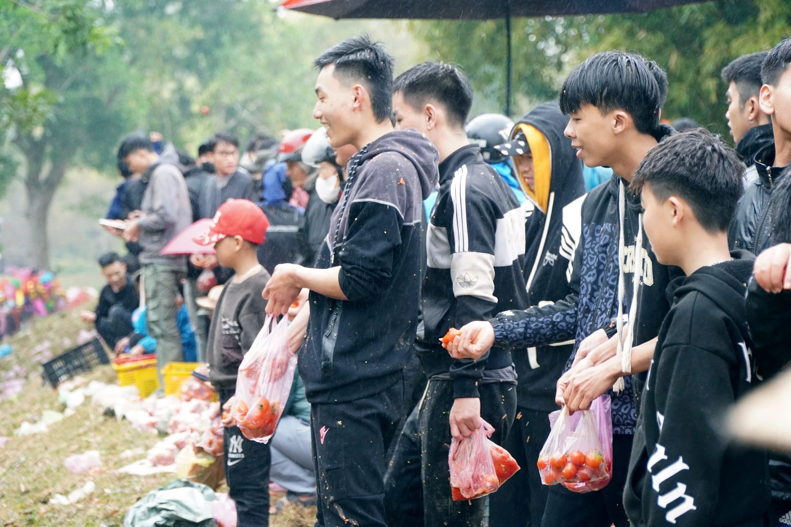 Những quả cà chua được các thanh niên chuẩn bị để ném vào “mục tiêu”.
