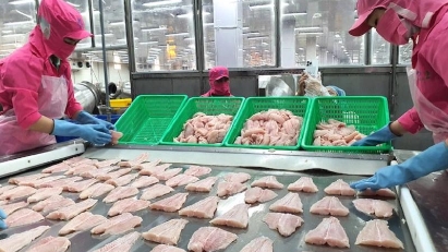 Limited supply drives up Vietnam catfish prices