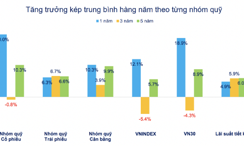 Bị rút ròng kỷ lục trong năm 2024, nhiều quỹ cổ phiếu hiệu suất vẫn tăng gấp đôi, gấp ba VN-Index 