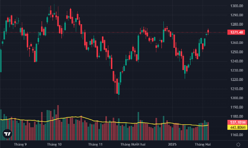 Rung lắc xuất hiện, cầu bắt đáy hoạt động tích cực