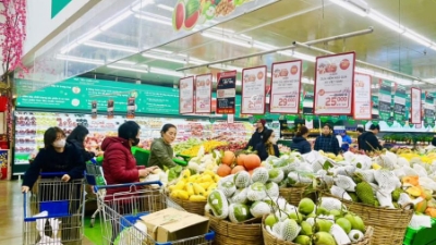 HCM City's retail market booms in January