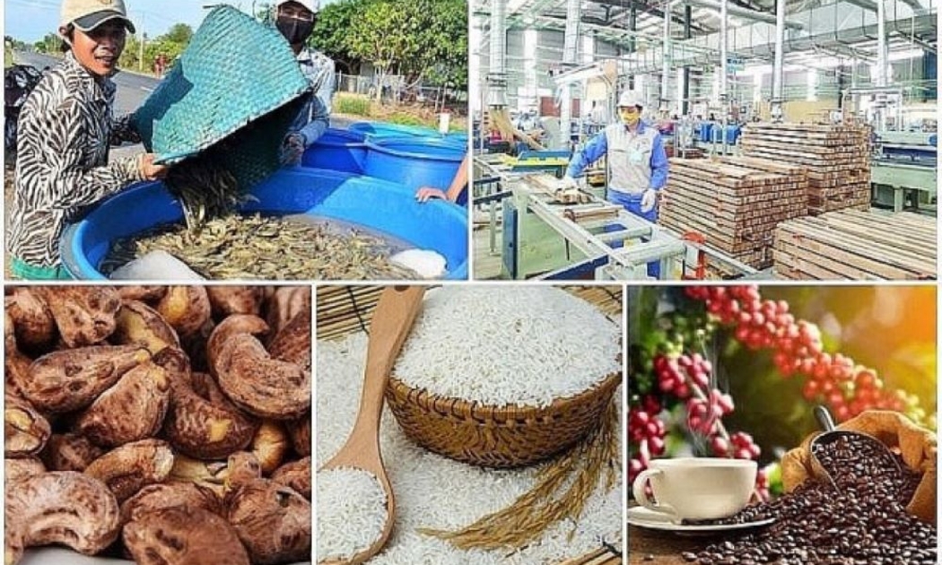 Giá trị xuất khẩu nông lâm thuỷ sản tháng 1 ước đạt hơn 5 tỷ USD.