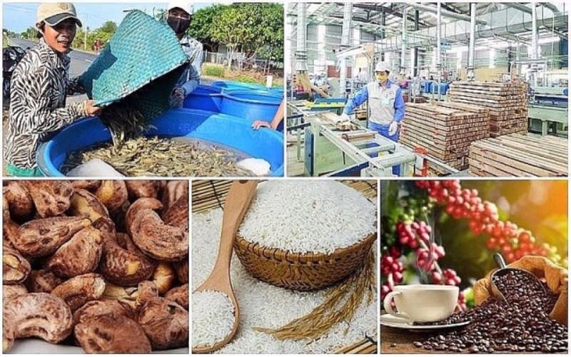 Exports of agro-forestry-aquatic products hit $5.08 bln in January