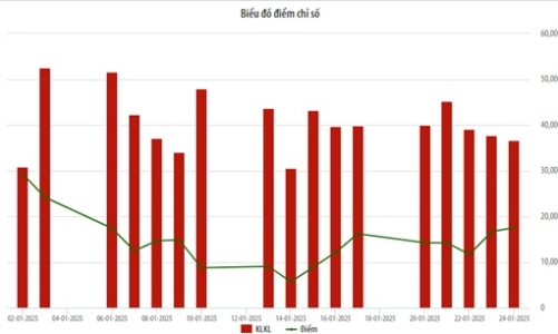 Tháng 1/2025, thanh khoản trên HNX sụt giảm mạnh