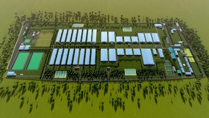 Quang Tri greenlights massive pig farm projects