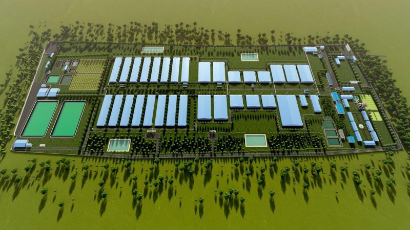 Quang Tri greenlights massive pig farm projects