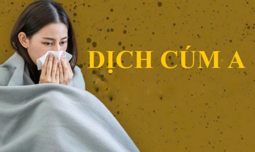 Dịch cúm A diễn biến phức tạp trên toàn cầu