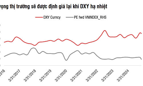 VN-Index đang rất rẻ, sẽ được định giá lại trong thời gian tới 