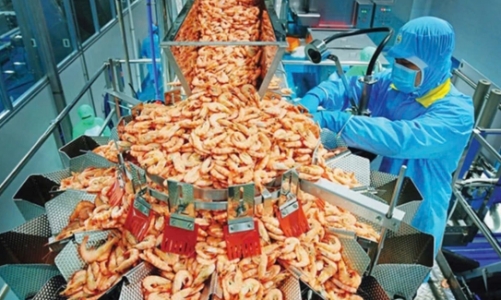 Xuất khẩu thủy sản tháng 1/2025 có sự chênh lệch lớn về tăng trưởng tại các thị trường tiêu thụ 