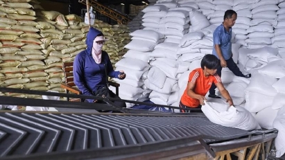 Early 2025 rice exports see price drop, order slump concerns