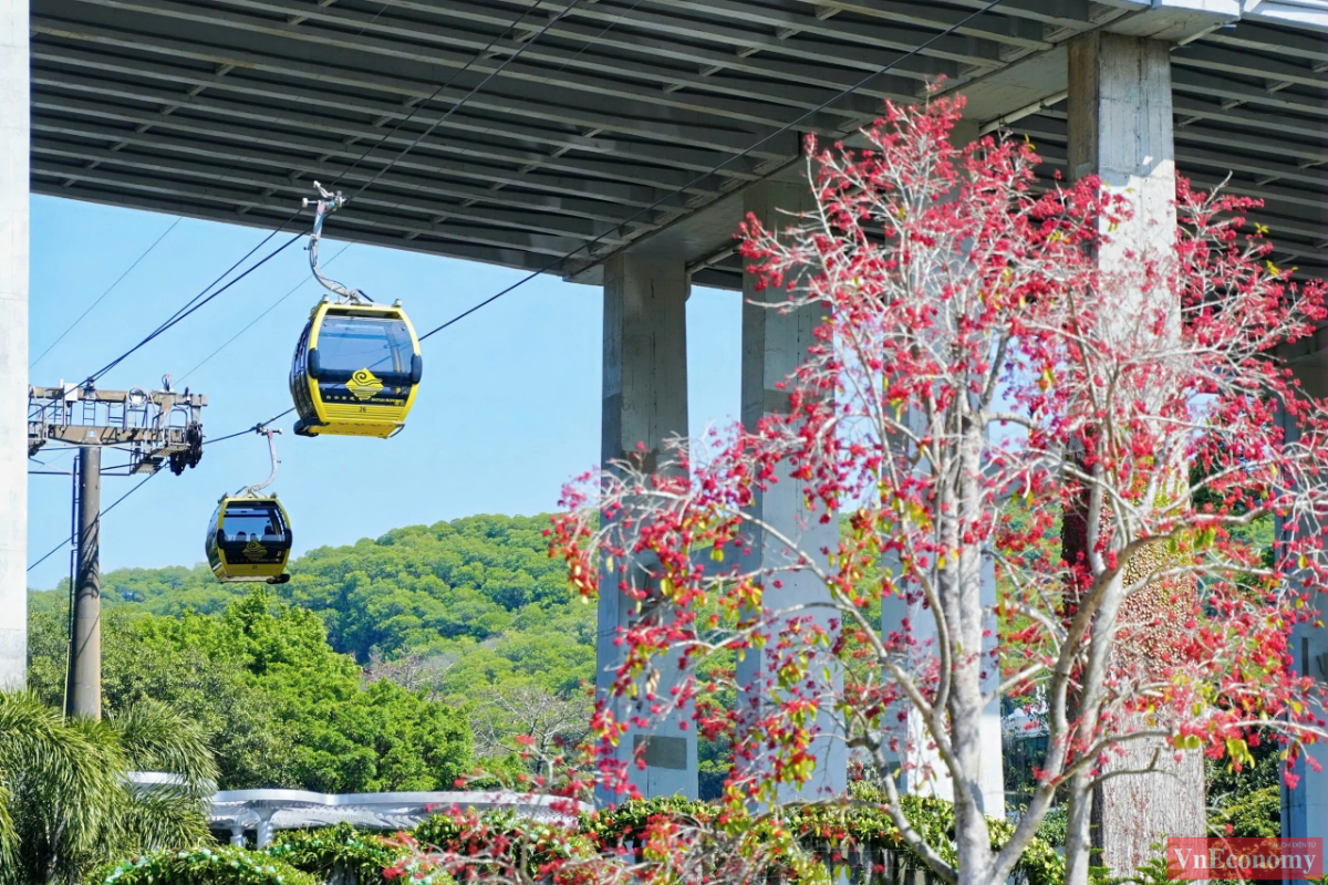 Tại c&aacute;c qu&aacute;n c&agrave; ph&ecirc; hoặc ở&nbsp;Quảng trường Petal, c&oacute;&nbsp;phục vụ c&aacute;c loại b&aacute;nh đậu đỏ, đậu xanh, b&aacute;nh trứng 