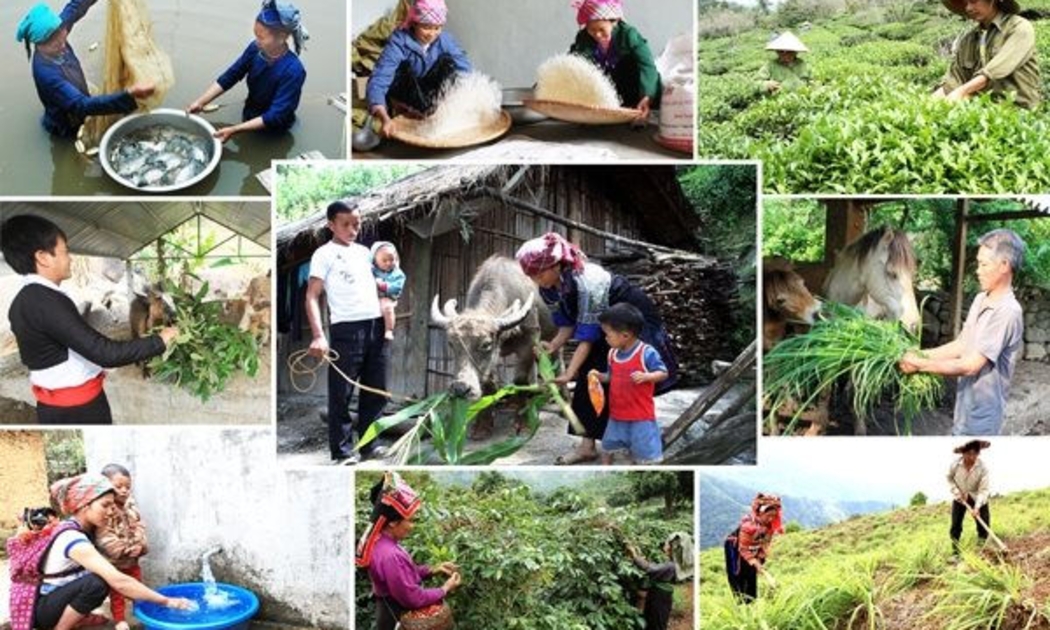 Việt Nam hết sức coi trọng và đã nỗ lực hết sức mình để về đích sớm 10 năm trong thực hiện các Mục tiêu phát triển thiên niên kỷ (MDG) và hiện tiếp tục nỗ lực thực hiện SDG. Ảnh minh họa.
