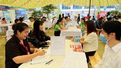 Hanoi firms kick off 2025 with recruitment drive for over 87,000 laborers