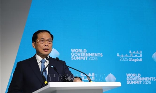 Đề xuất mở đường bay thẳng Việt Nam - Sri Lanka nhằm thúc đẩy du lịch, thương mại