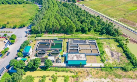 ROX iPark phát động tết trồng cây, hiện thực hóa chiến lược phát triển các khu công nghiệp xanh, thông minh