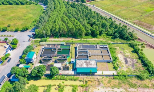 ROX iPark phát động tết trồng cây, hiện thực hóa chiến lược phát triển các khu công nghiệp xanh, thông minh