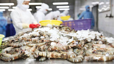 China claims position as Vietnam biggest shrimp export market 