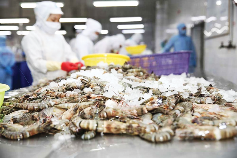 China claims position as Vietnam biggest shrimp export market 