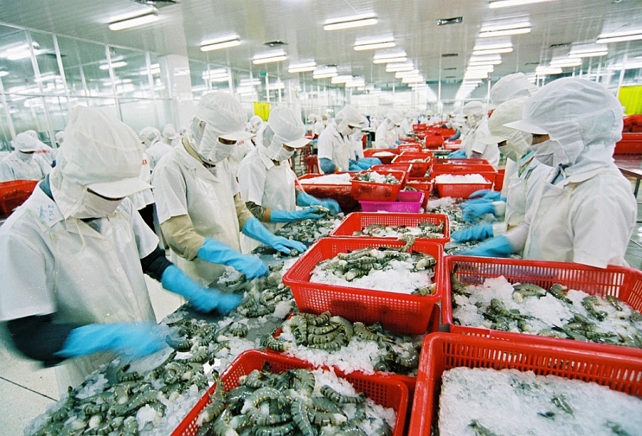 Năm 2024, xuất khẩu nông, lâm, thủy sản đạt con số kỷ lục 62,5 tỷ USD.