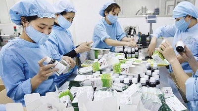 Chemical pharmaceutical industry development program approved