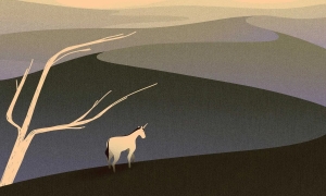 Nhiều công ty từng huy động số tiền khổng lồ giờ đây đang phải tìm mọi cách để tồn tại. Ảnh minh họa