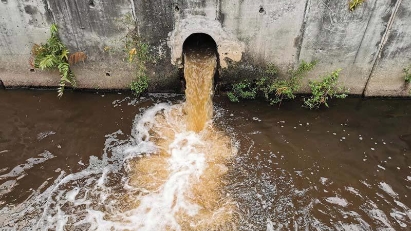 Thanh Hoa fines two firms for environmental violations