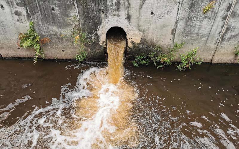 Thanh Hoa fines two firms for environmental violations