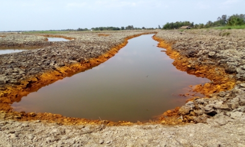 Xâm nhập mặn ở Đồng bằng sông Cửu Long và TP.HCM sẽ tiếp tục tăng cao